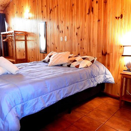 Miztli Lodge & Adventure Monteverde Kültér fotó