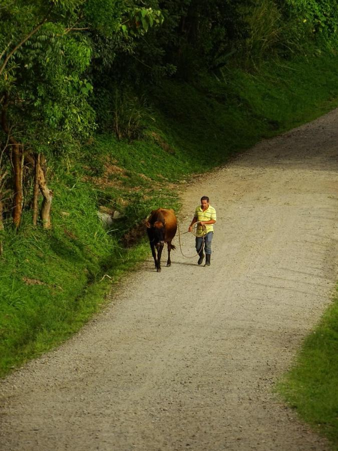 Miztli Lodge & Adventure Monteverde Kültér fotó