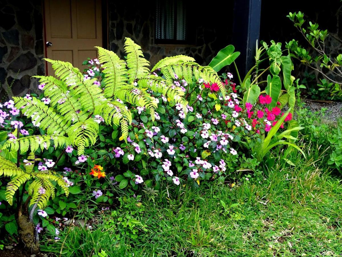 Miztli Lodge & Adventure Monteverde Kültér fotó