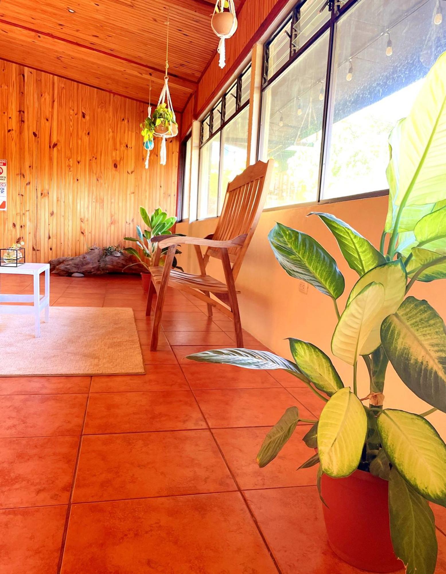 Miztli Lodge & Adventure Monteverde Kültér fotó